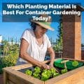 Which Planting Material Is Best For Container Gardening Today?