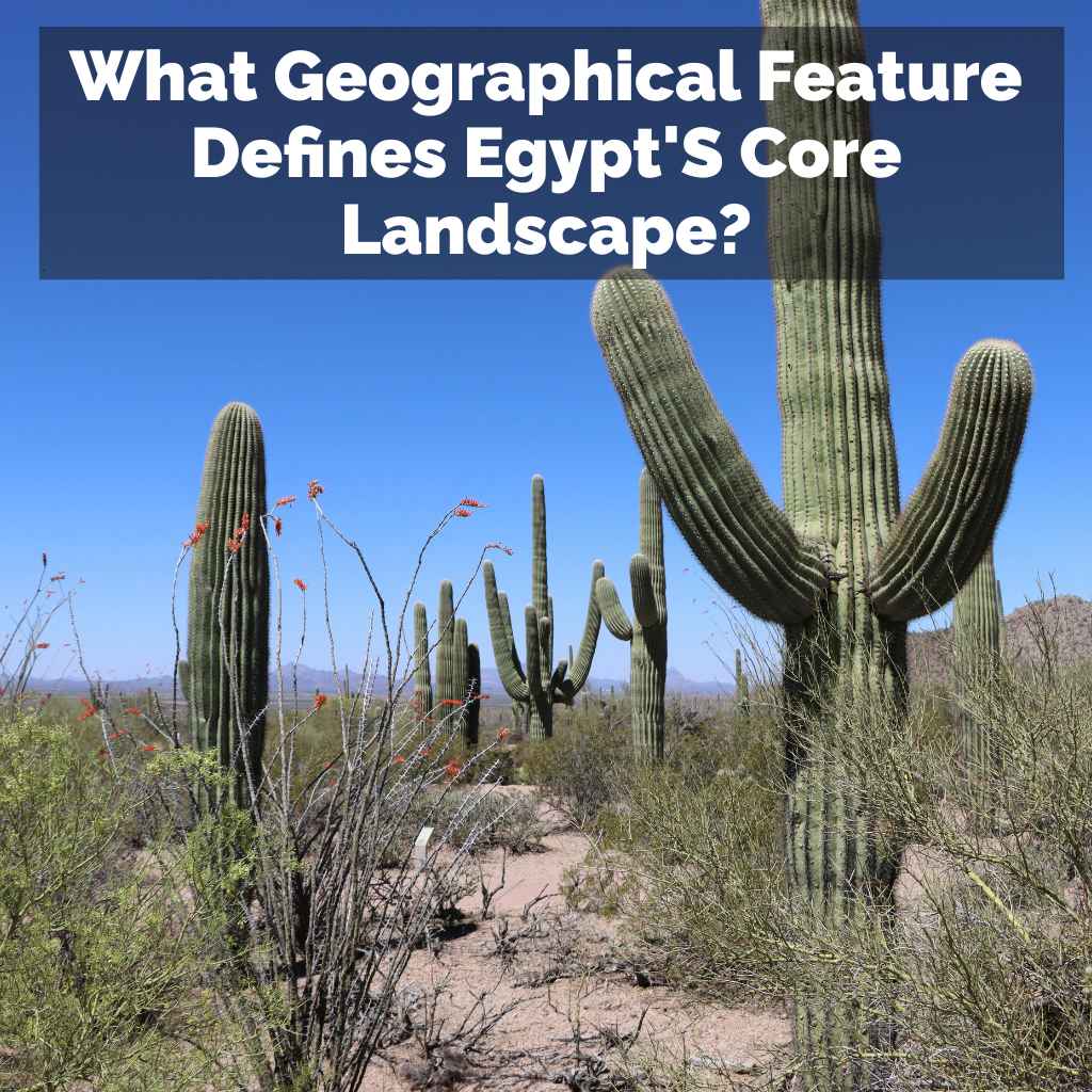 Which Region Of Mexico Is Known For Its Desert Landscapes?