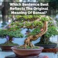 Which Sentence Best Reflects The Original Meaning Of Bonsai?