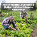 Which Vegetable Gardening Method Is Called Intensive Gardening
