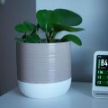 Air Purifier vs Plants