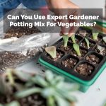 Can You Use Expert Gardener Potting Mix For Vegetables