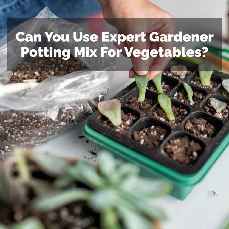 Can You Use Expert Gardener Potting Mix For Vegetables