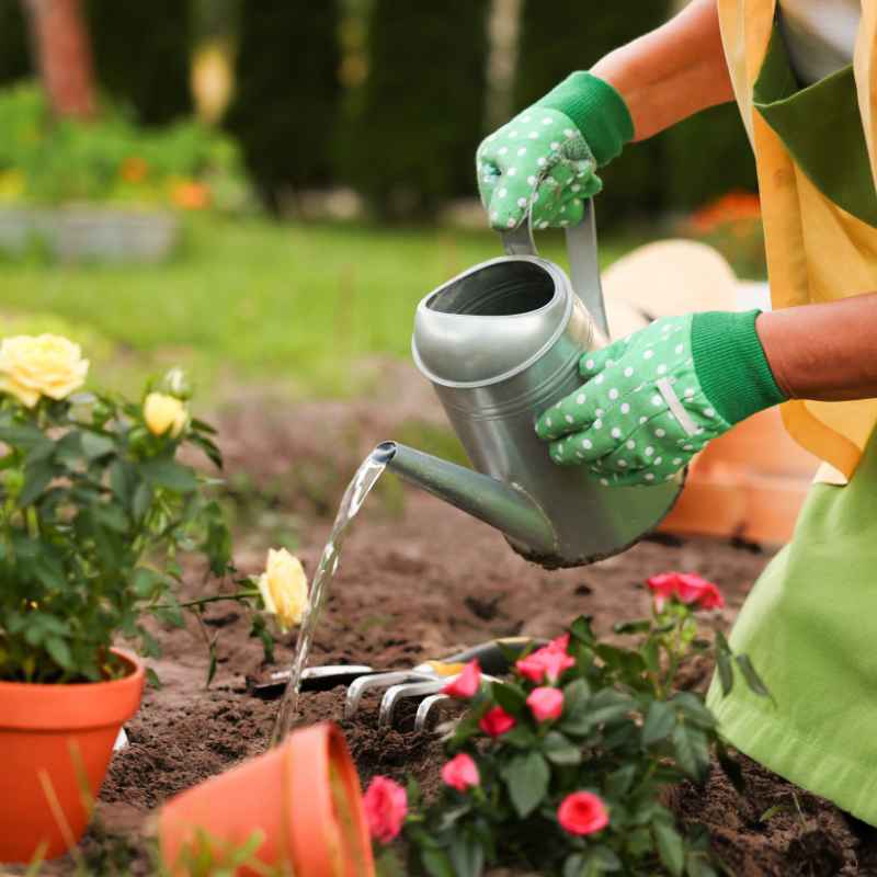 Can You Use Garden Soil for 5-Gallon Container Gardens?