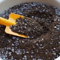 Gardening Soil Vs Potting Soil