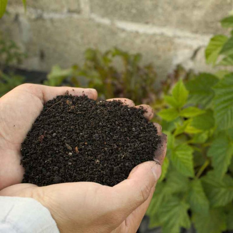 How Nutrients Are Added To Weathered Materials That Form Soil