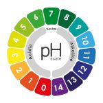 How Soil Ph Affects Plant Health And Nutrient Availability