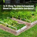 Is It Okay To Use Galvanized Steel In Vegetable Gardens?