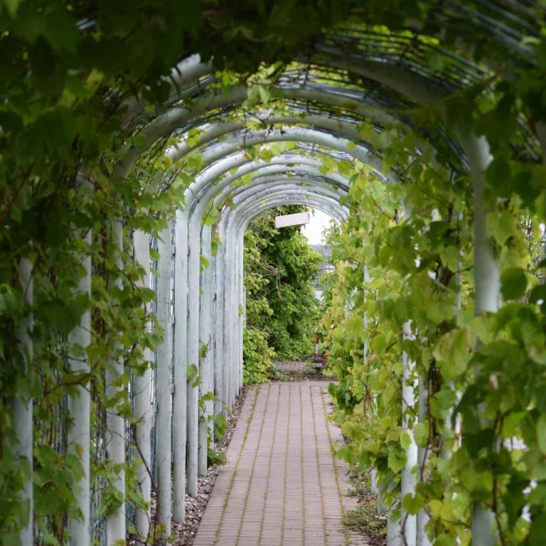 What Is The Difference Between Botanic Gardens And Botanical Gardens