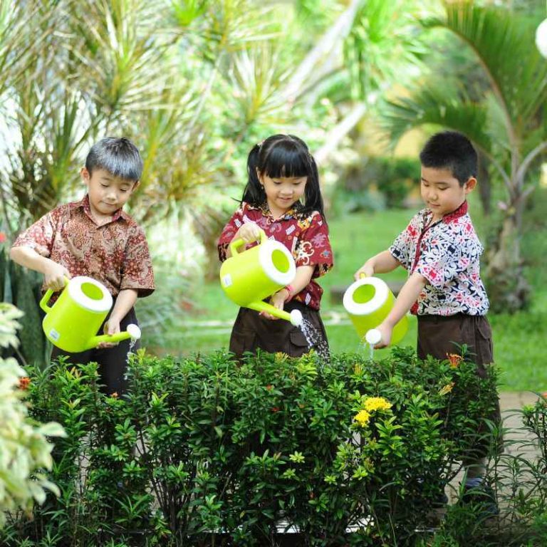What Is The Meaning Behind Louise Smith And Plants Gardening?