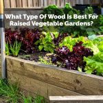 What Type Of Wood Is Best For Raised Vegetable Gardens