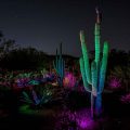 When Does Electric Desert Happen At The Botanical Gardens?