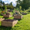 Where To Buy Large Bulb Planting Boxes For Gardening
