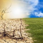 Which Climate Type Is Most Beneficial To Soil Formation?