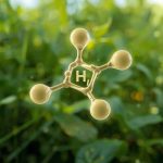 Which Molecule Functions As Primary Energy Storage In Plants?