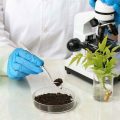 Which Of These Are Common Soil Classification Tests