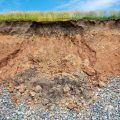 Which Of These Is Most Likely To Minimize Soil Erosion? Answered