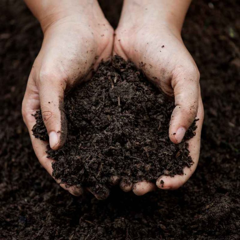 Which Soil Classification Allows For Vertical Walls