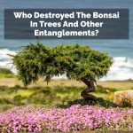 Who Destroyed The Bonsai In Trees And Other Entanglements