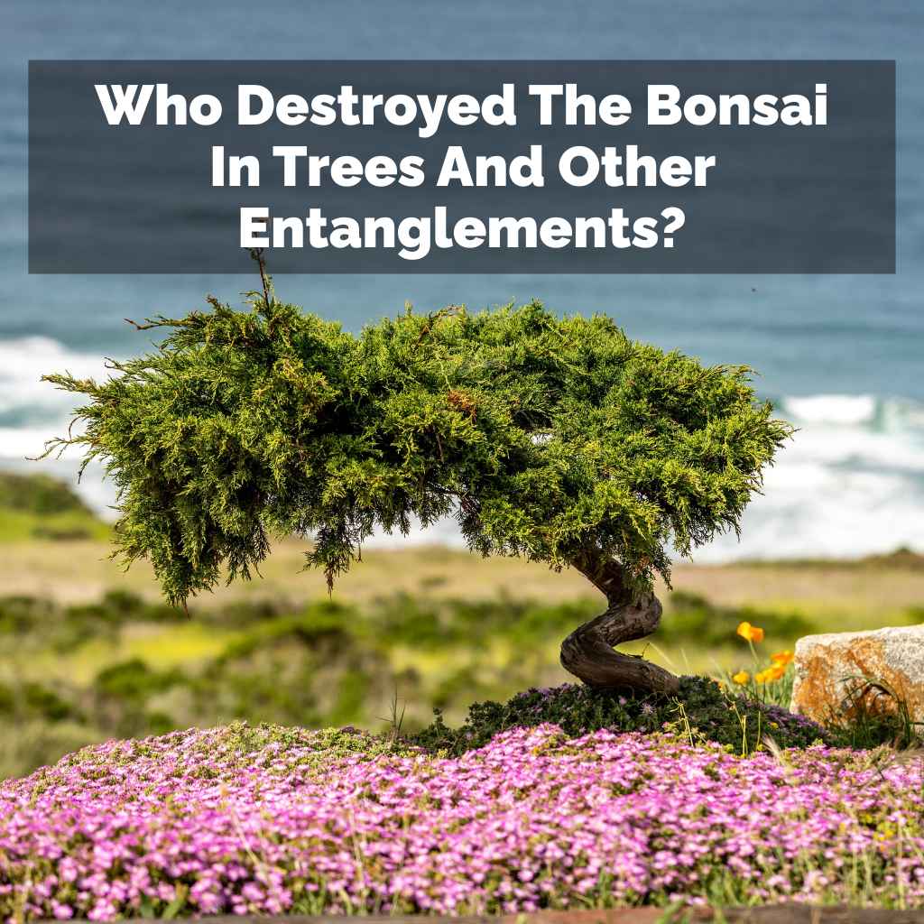 Who Destroyed The Bonsai In Trees And Other Entanglements