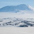 Why Does Antarctica'S Soil Have Little Organic Content