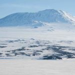 Why Does Antarctica'S Soil Have Little Organic Content