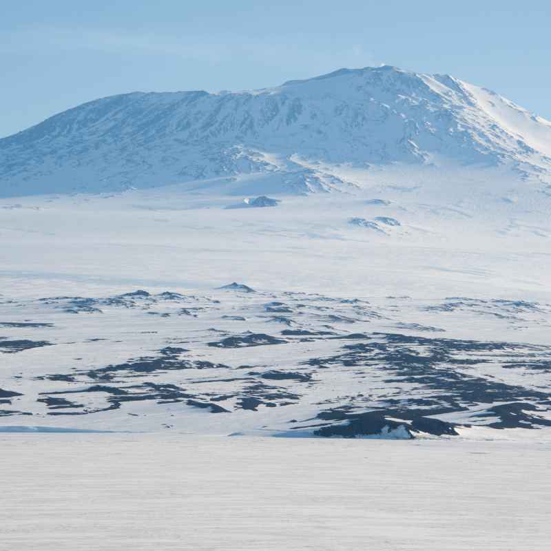 Why Does Antarctica'S Soil Have Little Organic Content