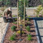 A&S Enterprises Landscaping