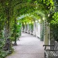Can You Take Pictures And Bags To Atlanta Botanical Gardens?
