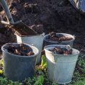 Can You Use Garden Soil For 5-Gallon Container Gardens