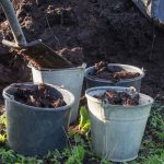 Can You Use Garden Soil For 5-Gallon Container Gardens