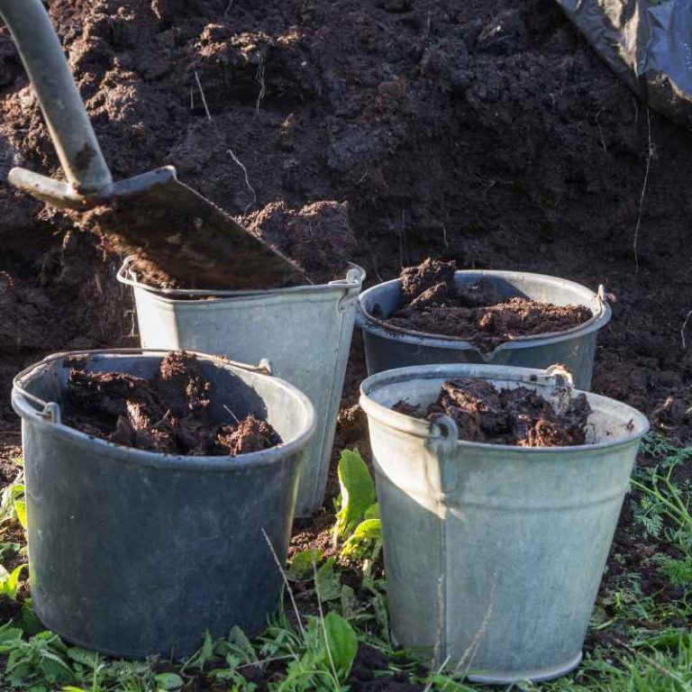 Can You Use Garden Soil For 5-Gallon Container Gardens