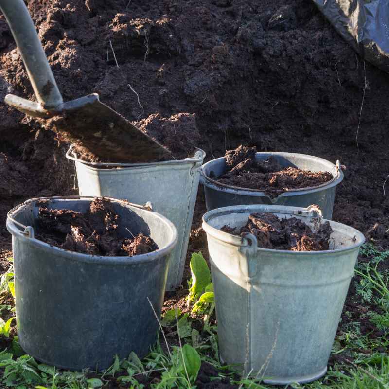 Can You Use Garden Soil For 5-Gallon Container Gardens
