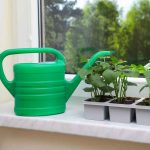 Can You Use White Containers For Vegetable Gardens?