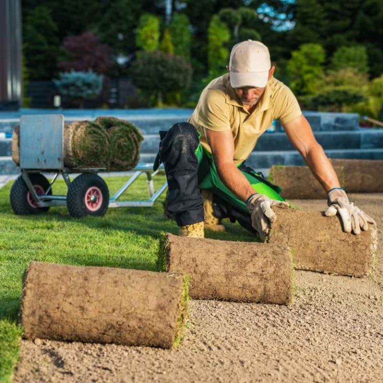 Do You Need To Remove Grass Before Laying Landscape Fabric