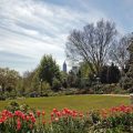 Does Atlanta Botanical Gardens Offer Senior Discounts?
