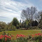 Does Atlanta Botanical Gardens Offer Senior Discounts?