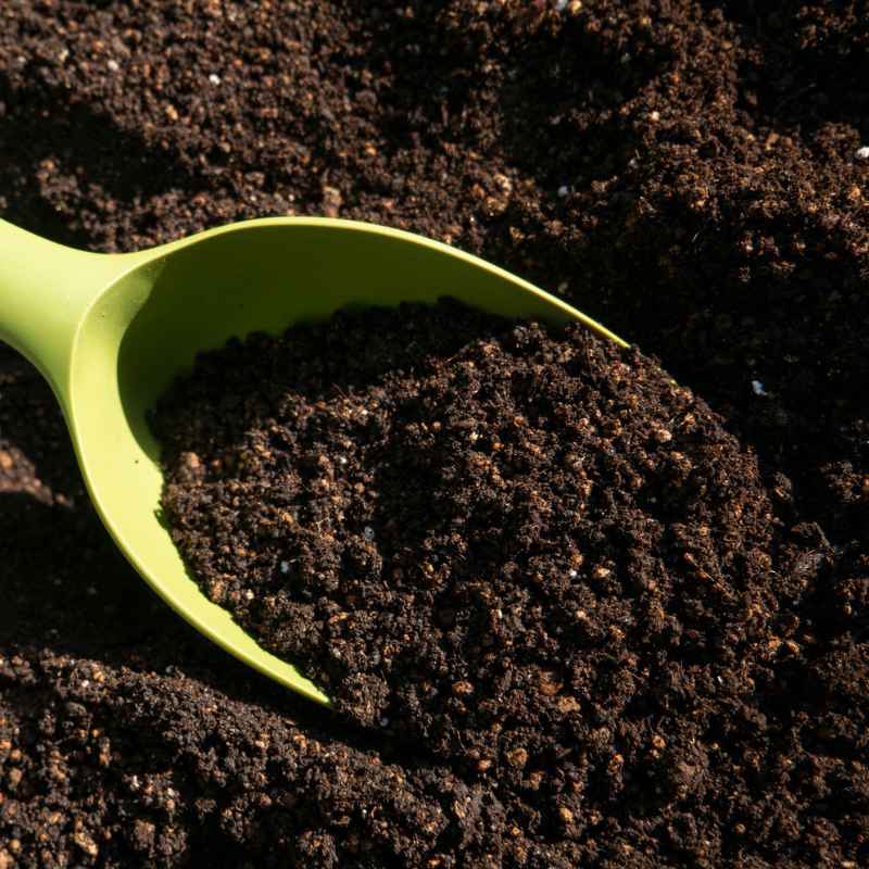 Gardening Soil Vs Potting Soil