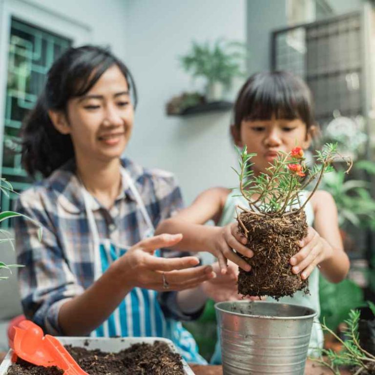 How Do Flowers Help Plants Survive