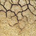 How Increased Soil Salinity Contributes To Desertification Explained