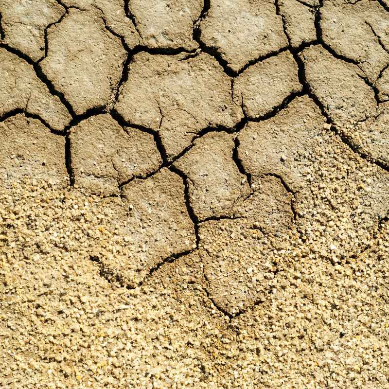 How Increased Soil Salinity Contributes To Desertification Explained