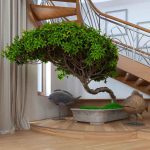 How Is A Bonsai Spruce Different From A Regular Spruce?
