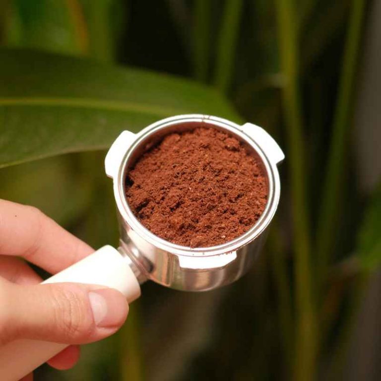 How Often Should You Put Coffee Grounds On Tomato Plants?