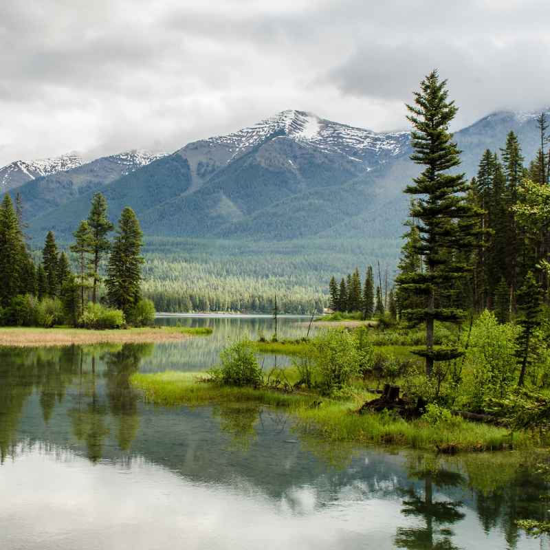 How Roosevelt'S Policies Transformed The Western Landscape