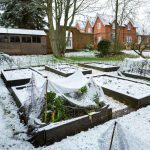 How To Add Snow Removal Services To Your Landscaping Business