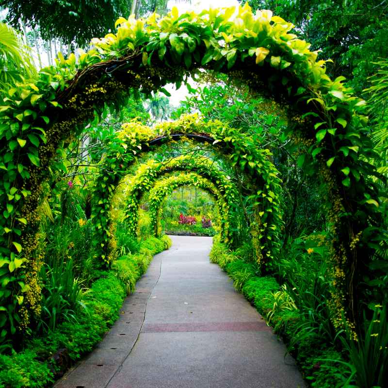 How To Get Discount Tickets For Sandwich Botanical Gardens