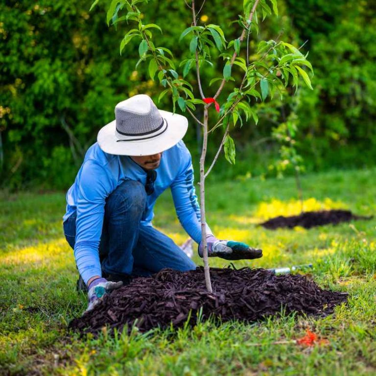 How To Identify The Most Profitable Landscaping Services