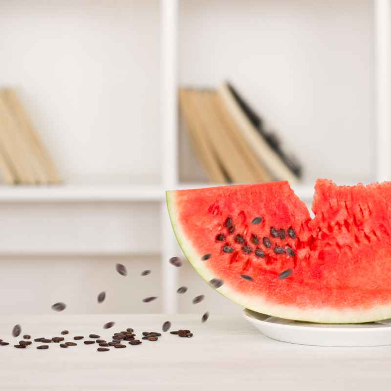 How To Prepare Watermelon Seeds For Planting