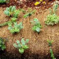 How To Stop Weeds From Growing Through Landscape Fabric