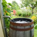 How To Use Rain Barrels To Water Vegetable Gardens Easily